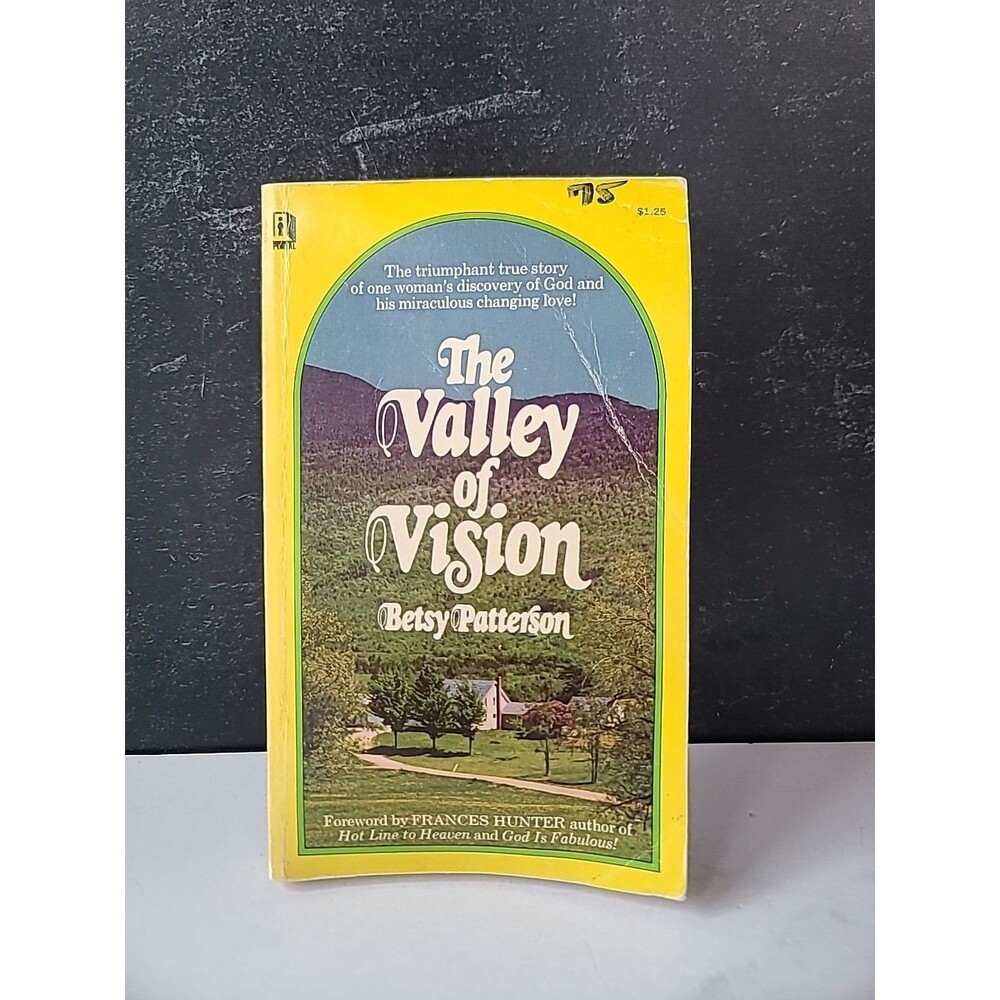 The Valley Of Vision By Betsy Patterson Paperback